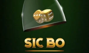 Bí Quyết Tham Gia SicBo F8BET: Hành Trang Cho Tân Thủ Cá Cược